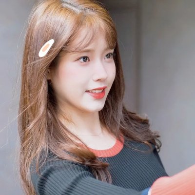 花园蜘蛛
